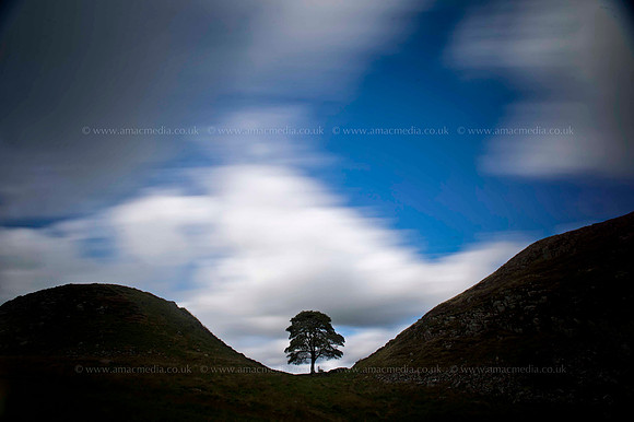 Sycamore Gap 3