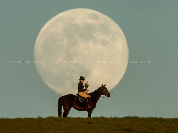 The Flower moon